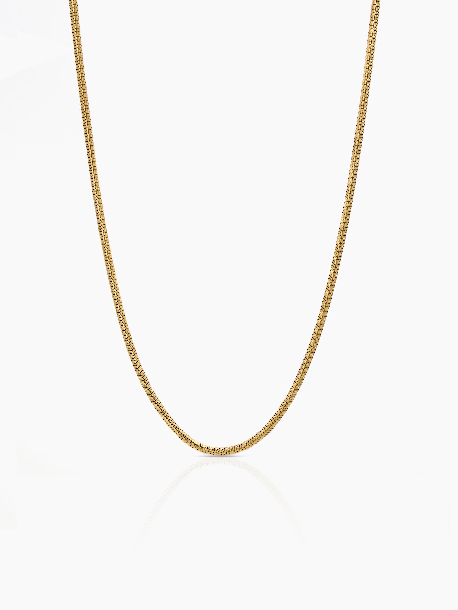 Elliot Snake Chain Necklace - Swashaa