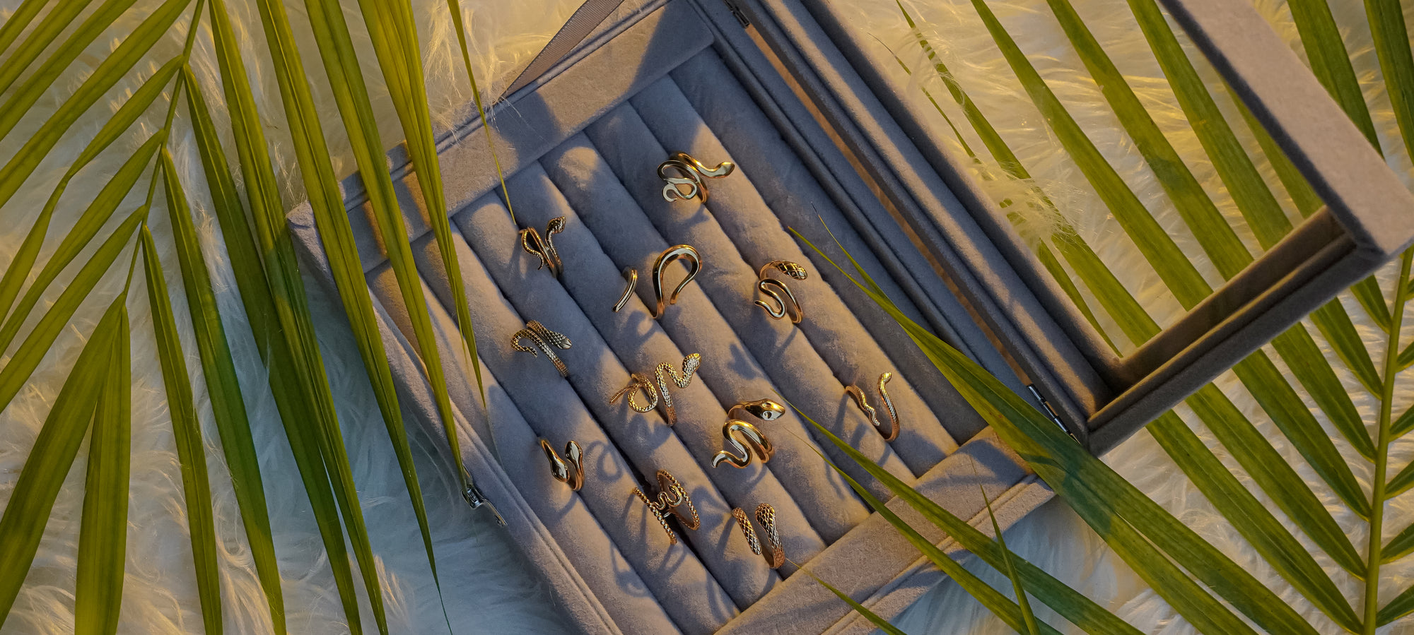 Mystic Coil Rings