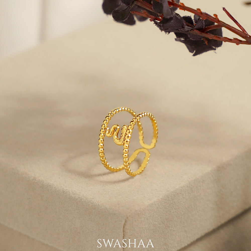 Derry Ring - Swashaa