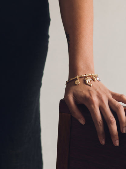 Elara Dolphin Motif, Shell Accents, Sparkling Drop Charms 18K Gold Tone Plated Women's Band Bracelet