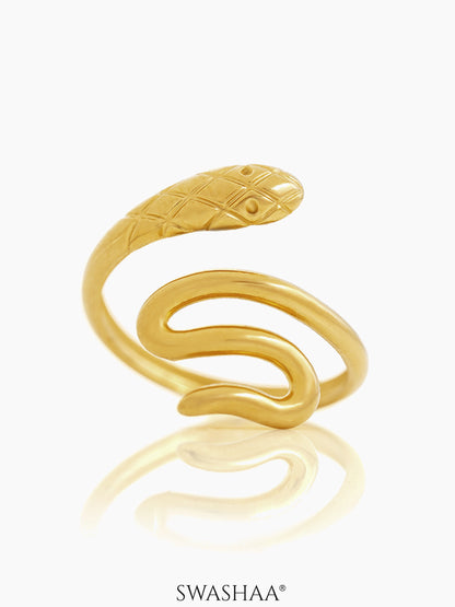 Pasie 18K Gold Plated Ring