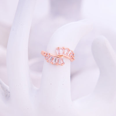 Jamie Ring - Swashaa